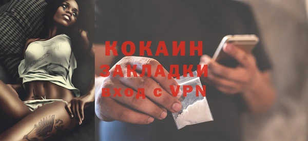 гашик Дмитров