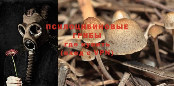 амф Балахна